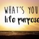 Knowing your life purpose is essential